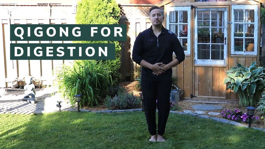 Qigong for Digestion